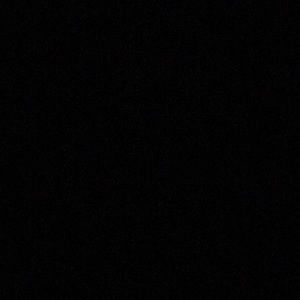 Meet your Posher, Peyton